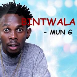 Cover of Bintwala