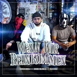 Cover of Wenn wir reinkommen