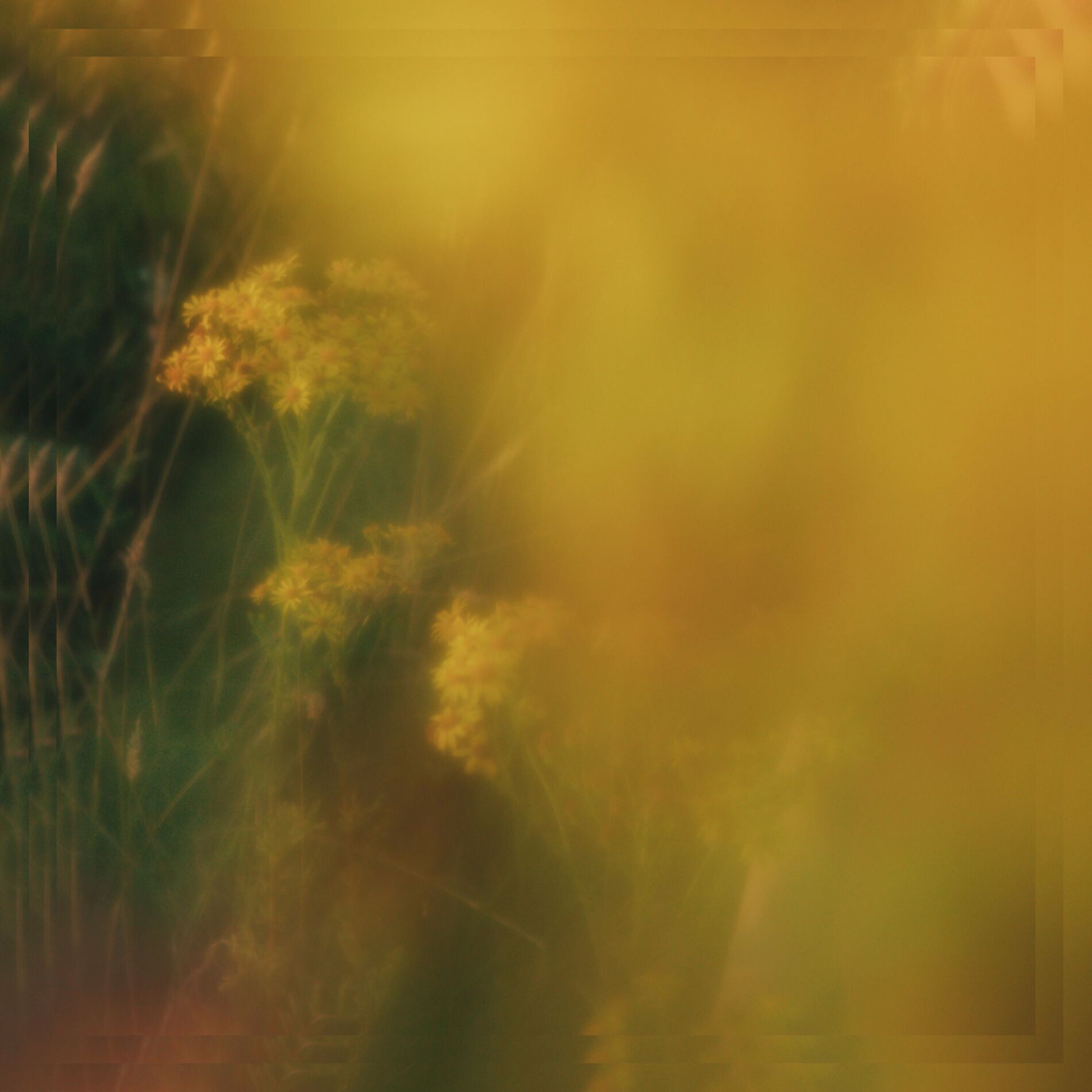 Album cover of Golden