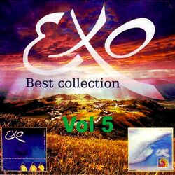 Cover of Best Collection, Vol. 5