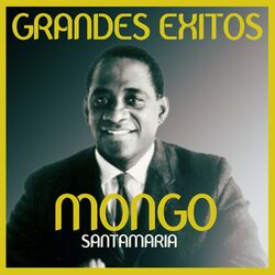 Cover of Grandes éxitos (Remastered)