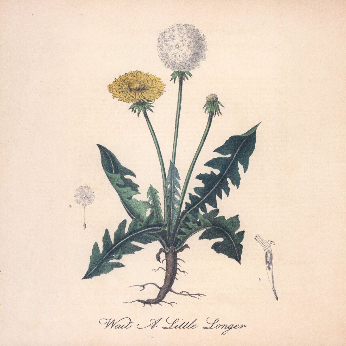 Album cover of Wait A Little Longer