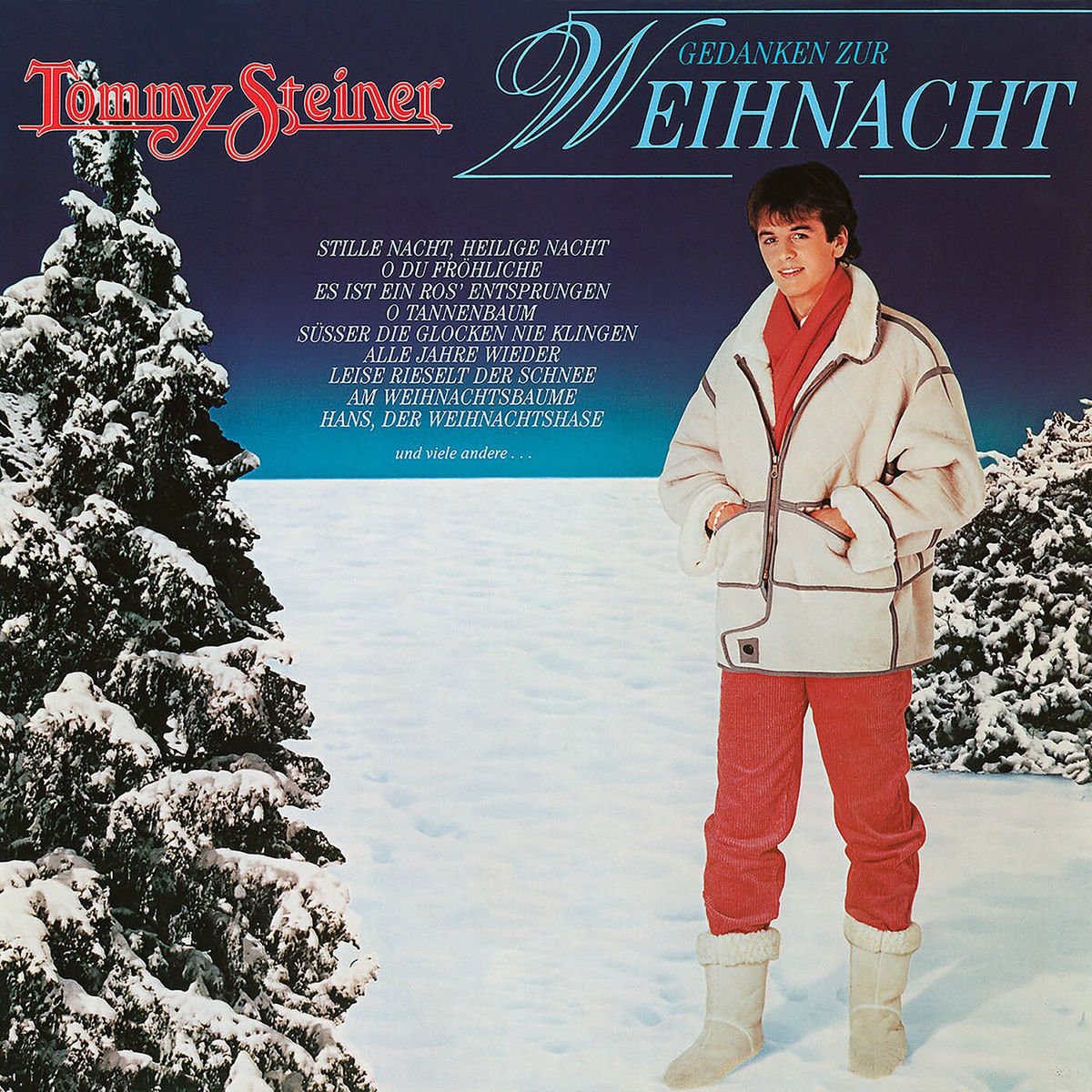 Album cover of Gedanken zur Weihnacht