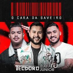 Cover of O Cara Da Saveiro