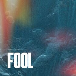 Cover of Fool