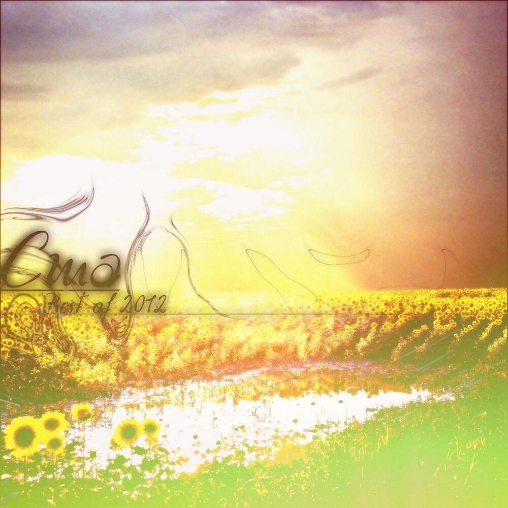 Picture of Beautiful Sunset