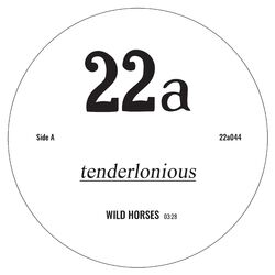 Cover of Wild Horses
