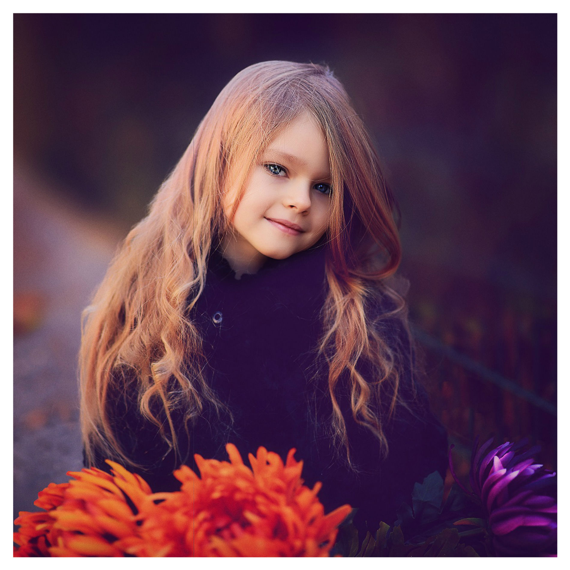 Album cover of Calme