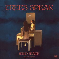 Cover of Mind Maze