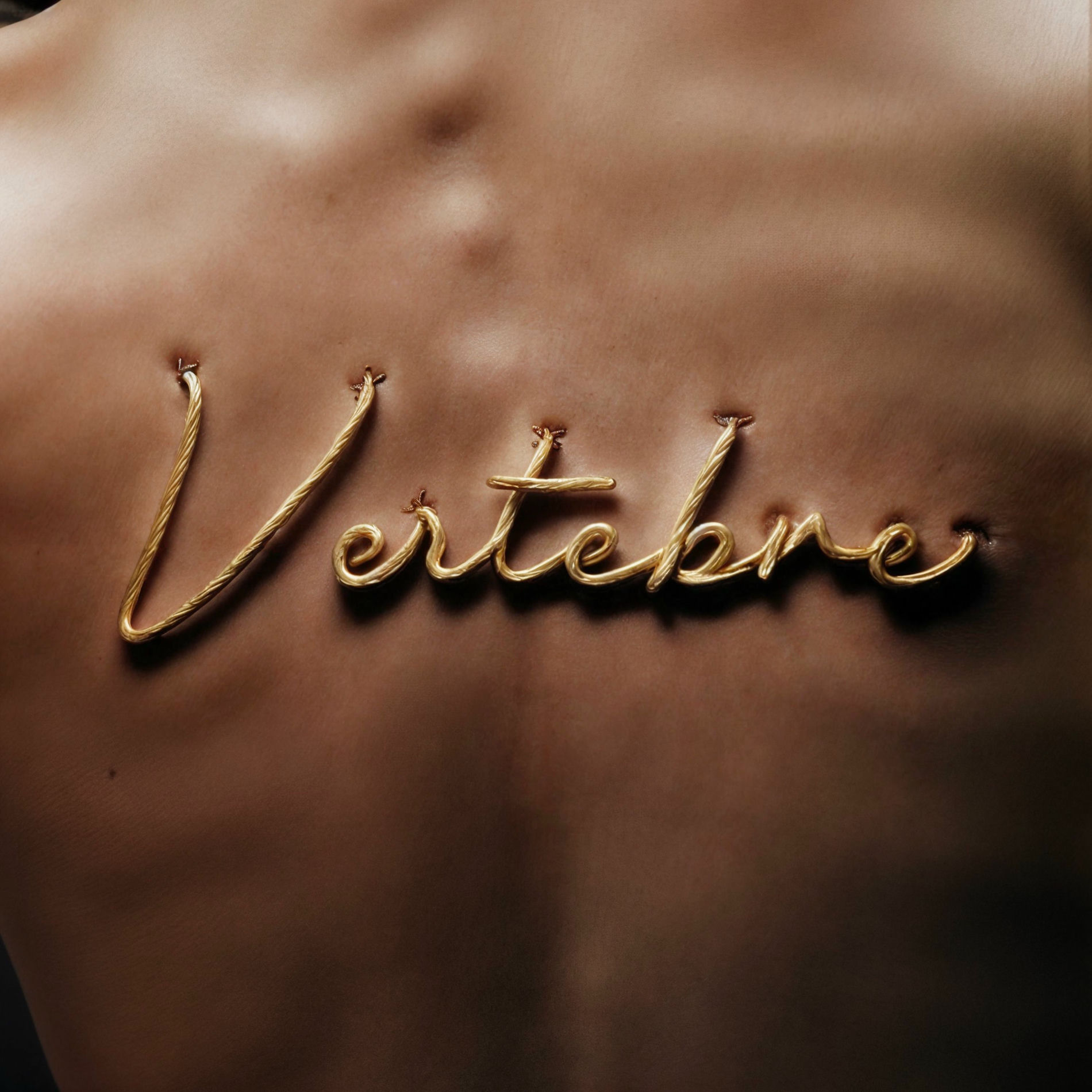 Album cover of VERTEBRE