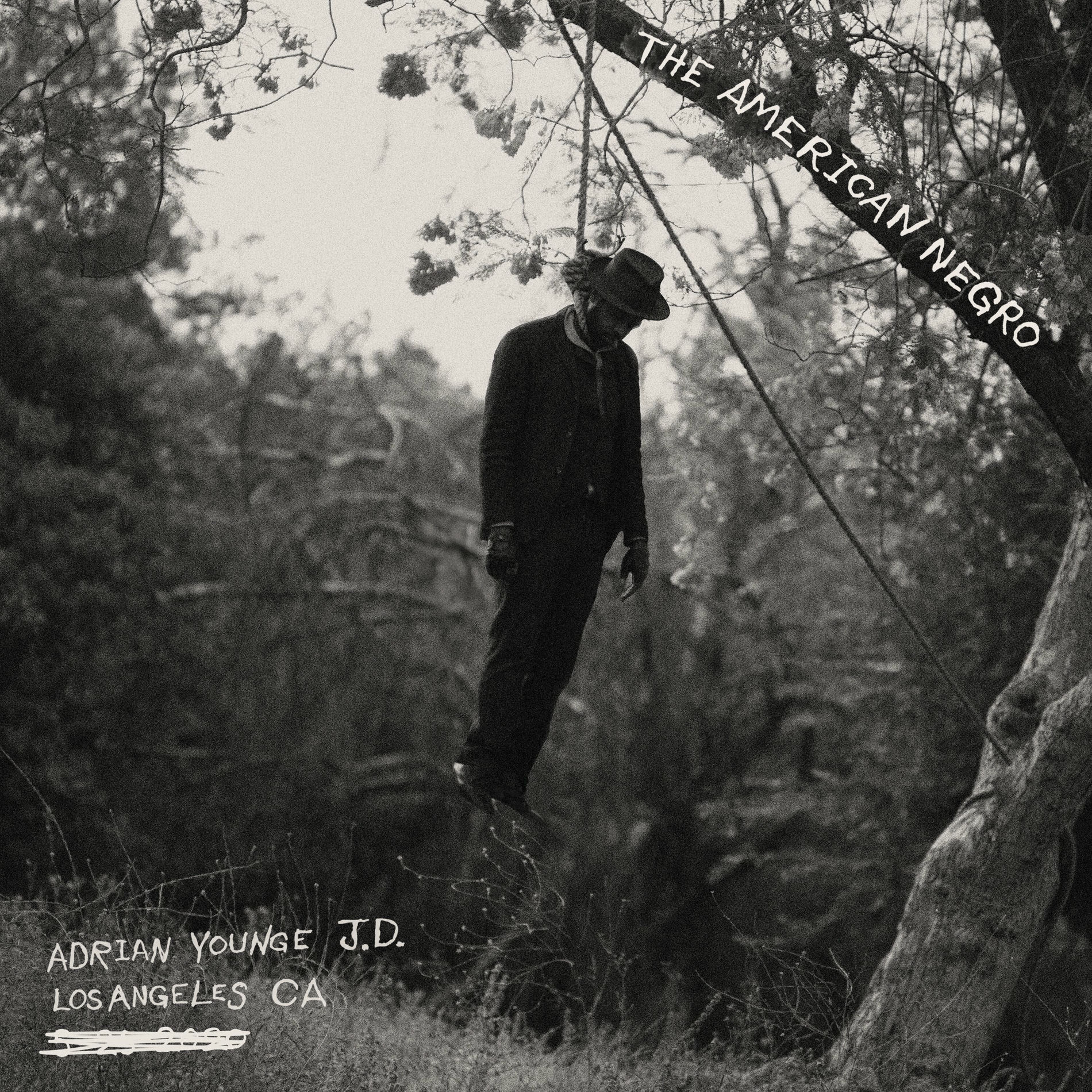 Album cover of The American Negro