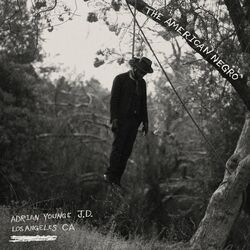 Cover of The American Negro