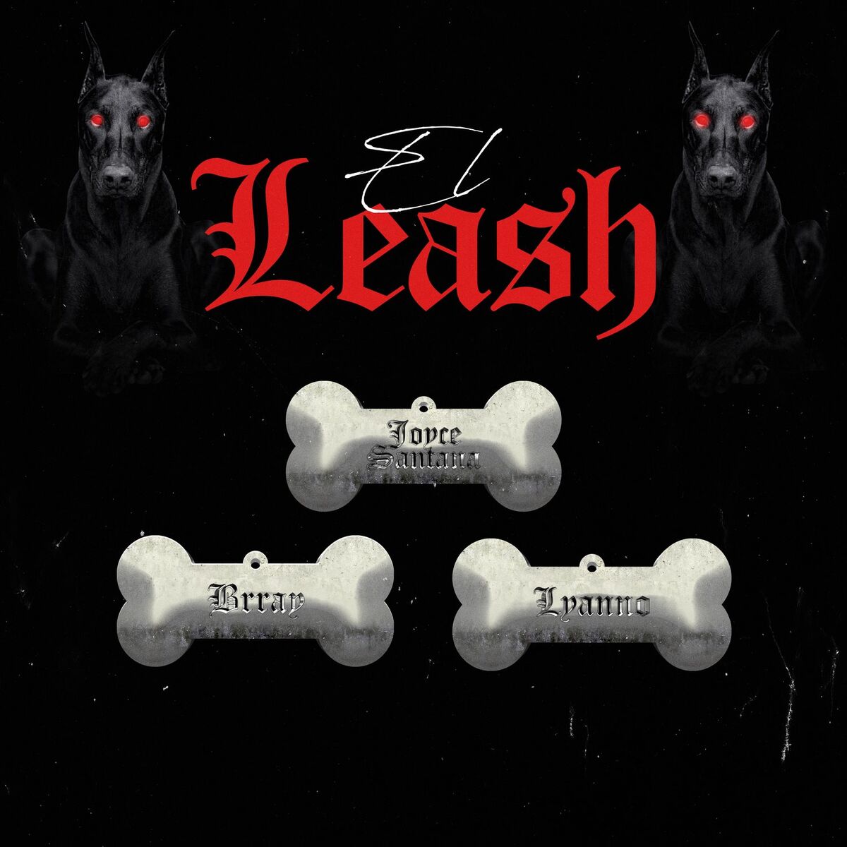 Album cover of El Leash