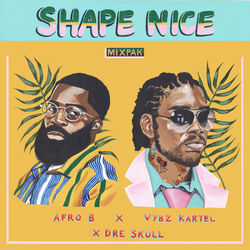 Cover of Shape Nice