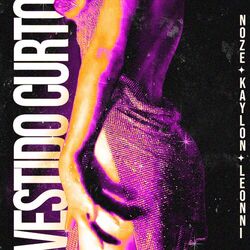 Cover of Vestido Curto