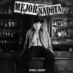 Cover of MEJOR NADOTA