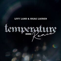 Cover of Temperature (Edm Remix)