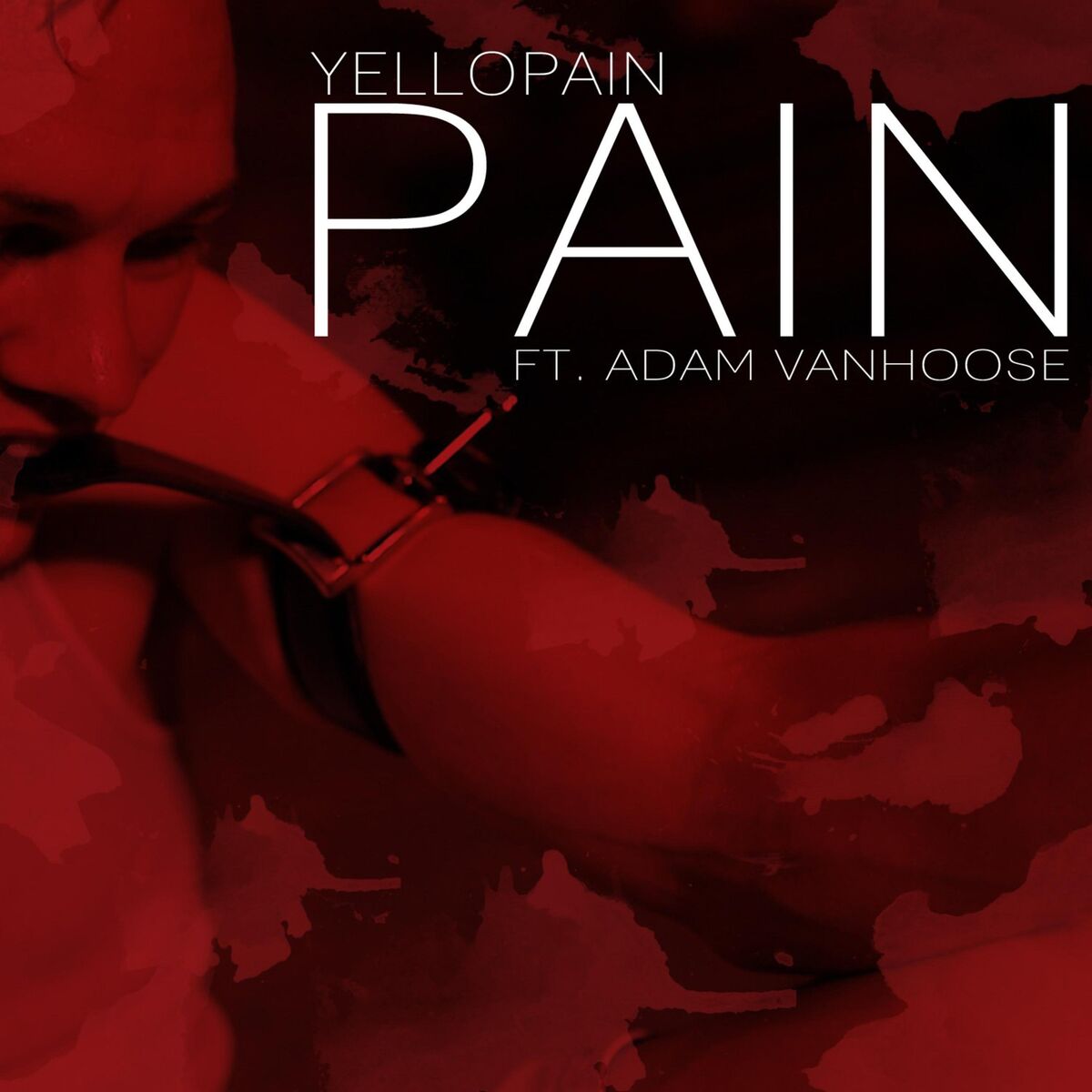 Album cover of Pain