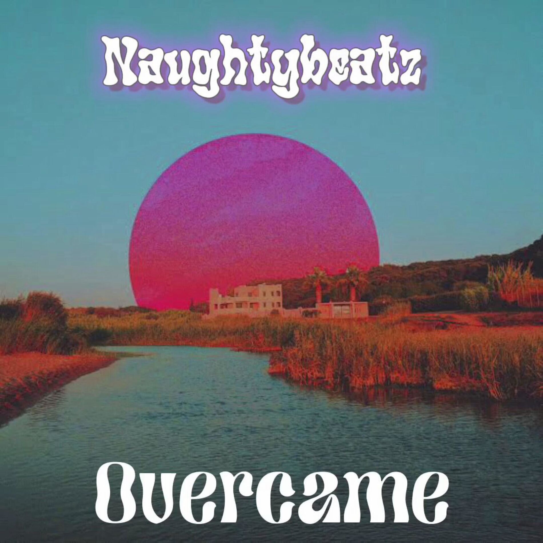 Album cover of Overcame