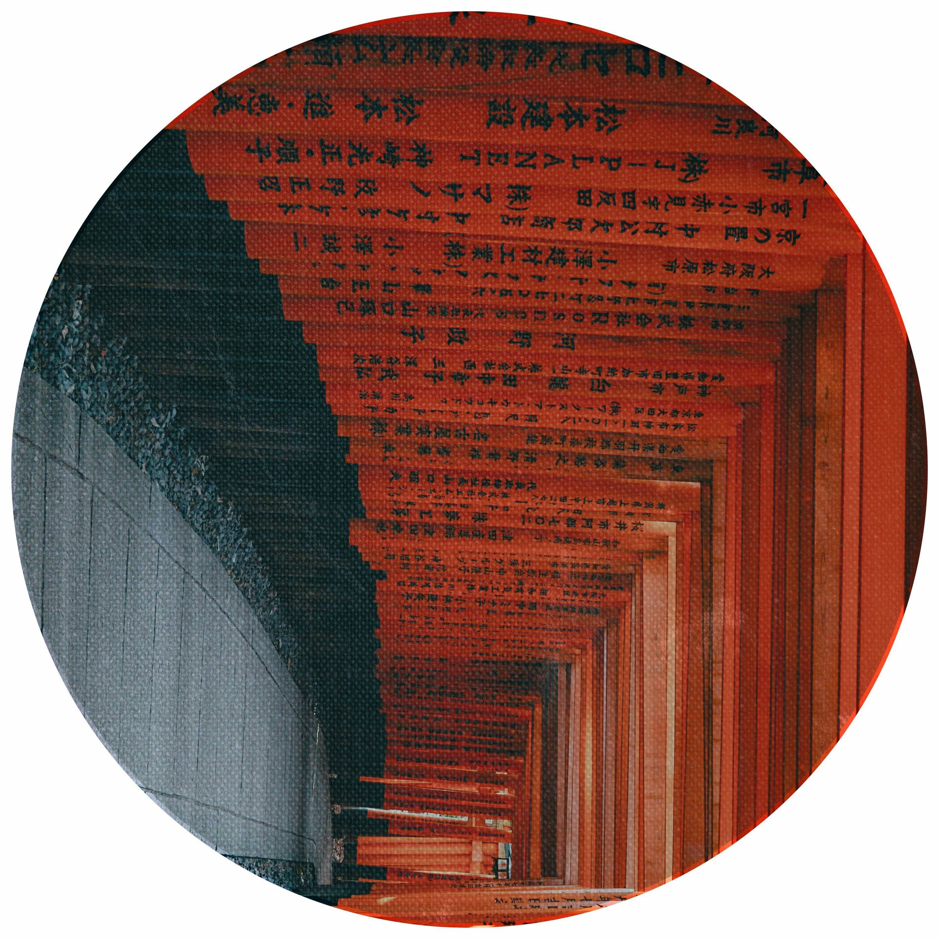 Album cover of OPFD005