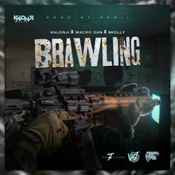 Cover of Brawling (feat. Skelly 12k & Wacko Dan)