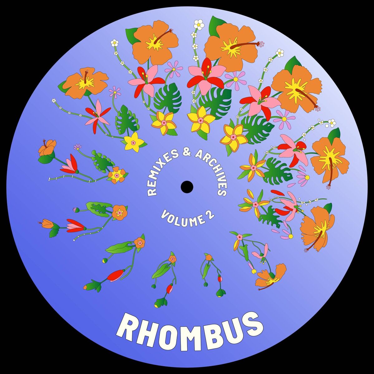 Album cover of Remixes and Archives Vol. 2
