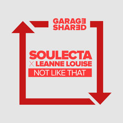 Descargar Not Like That - Soulecta MP3