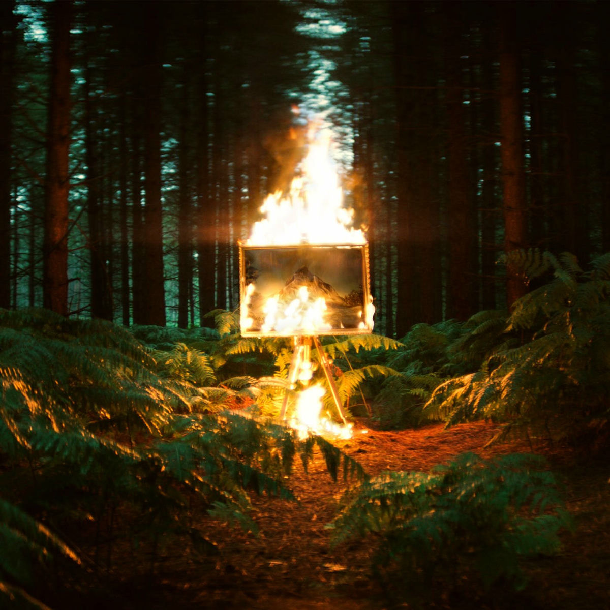 Album cover of Burn