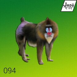 Cover of Superficial