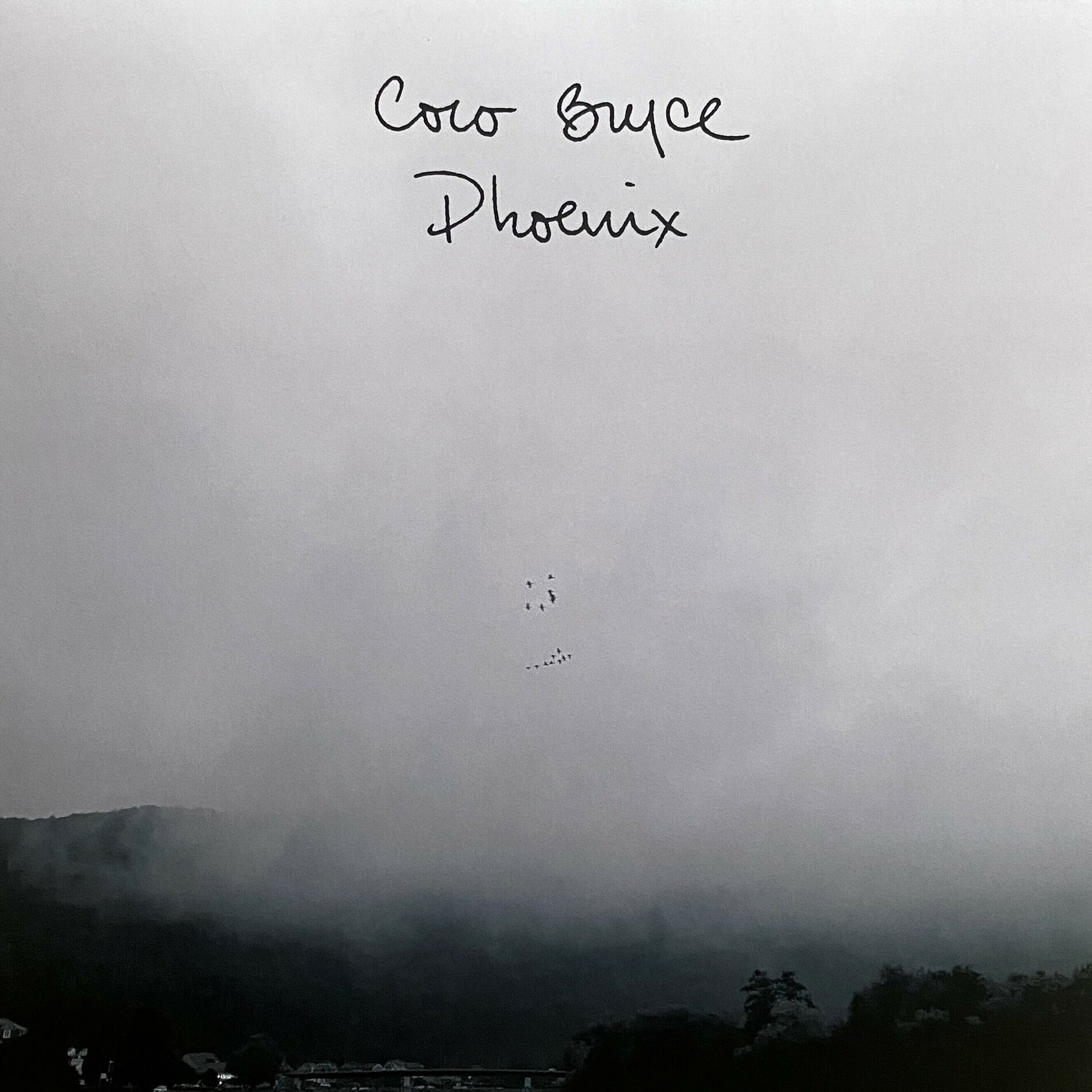 Album cover of Phoenix