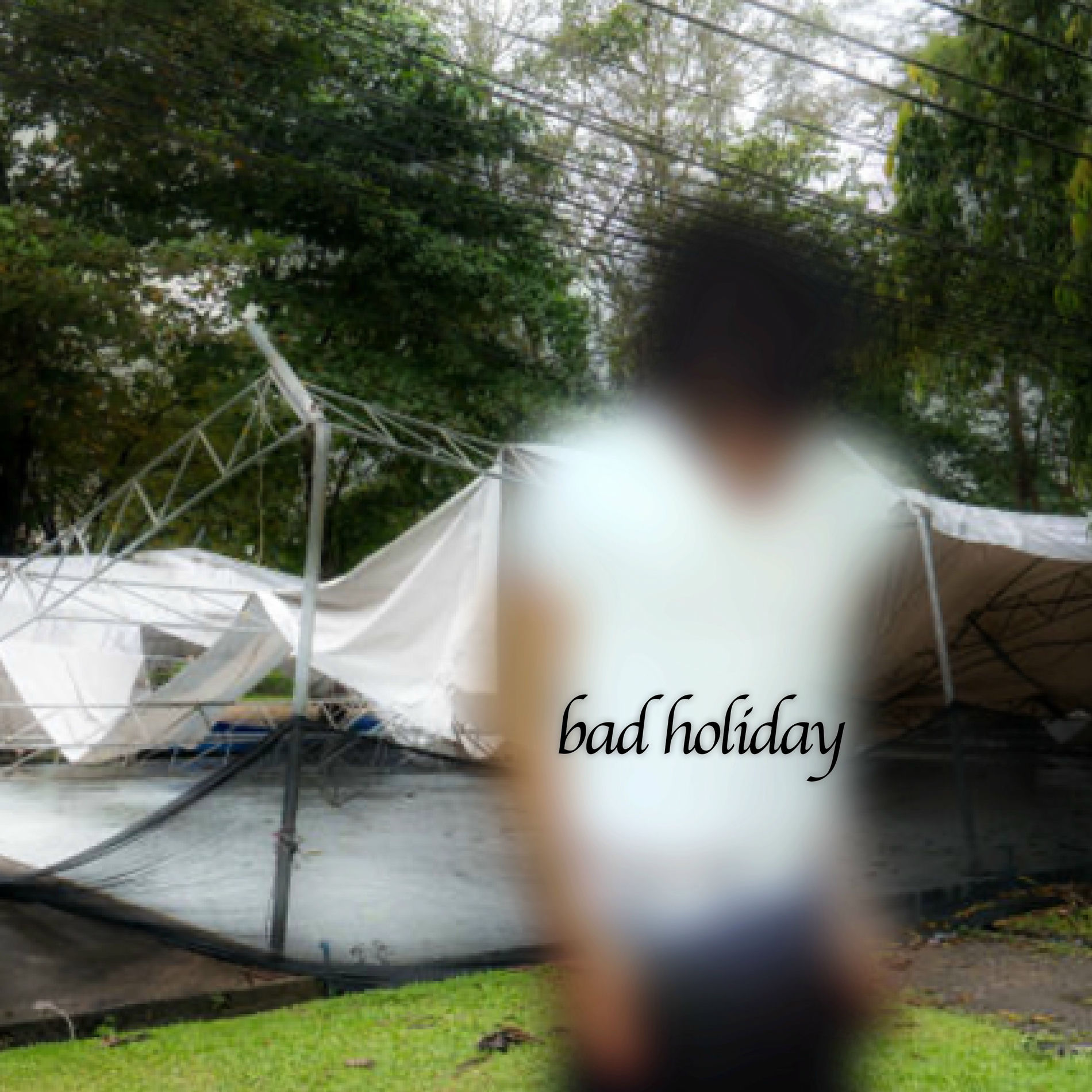 Album cover of bad holiday