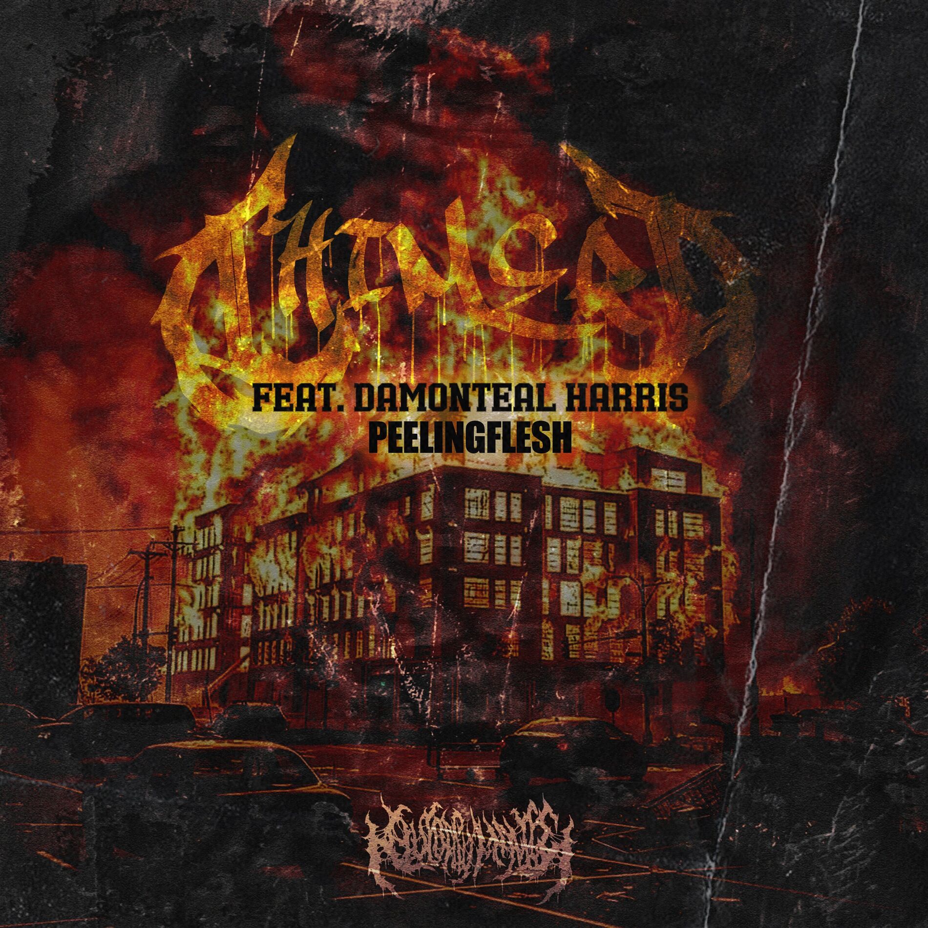 Album cover of Chimera