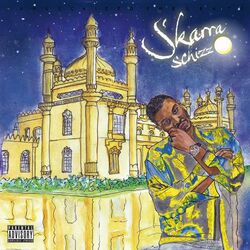 Cover of Skarraschizzo
