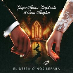 Cover of El Destino Nos Separa