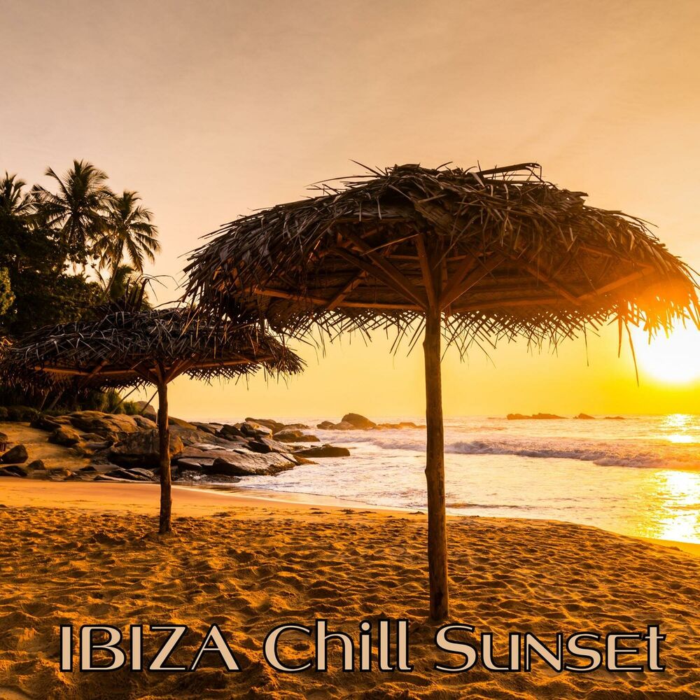 Picture of The Next Level: IBIZA Chill Sunset, Deep House Music, Dj Summer Mix