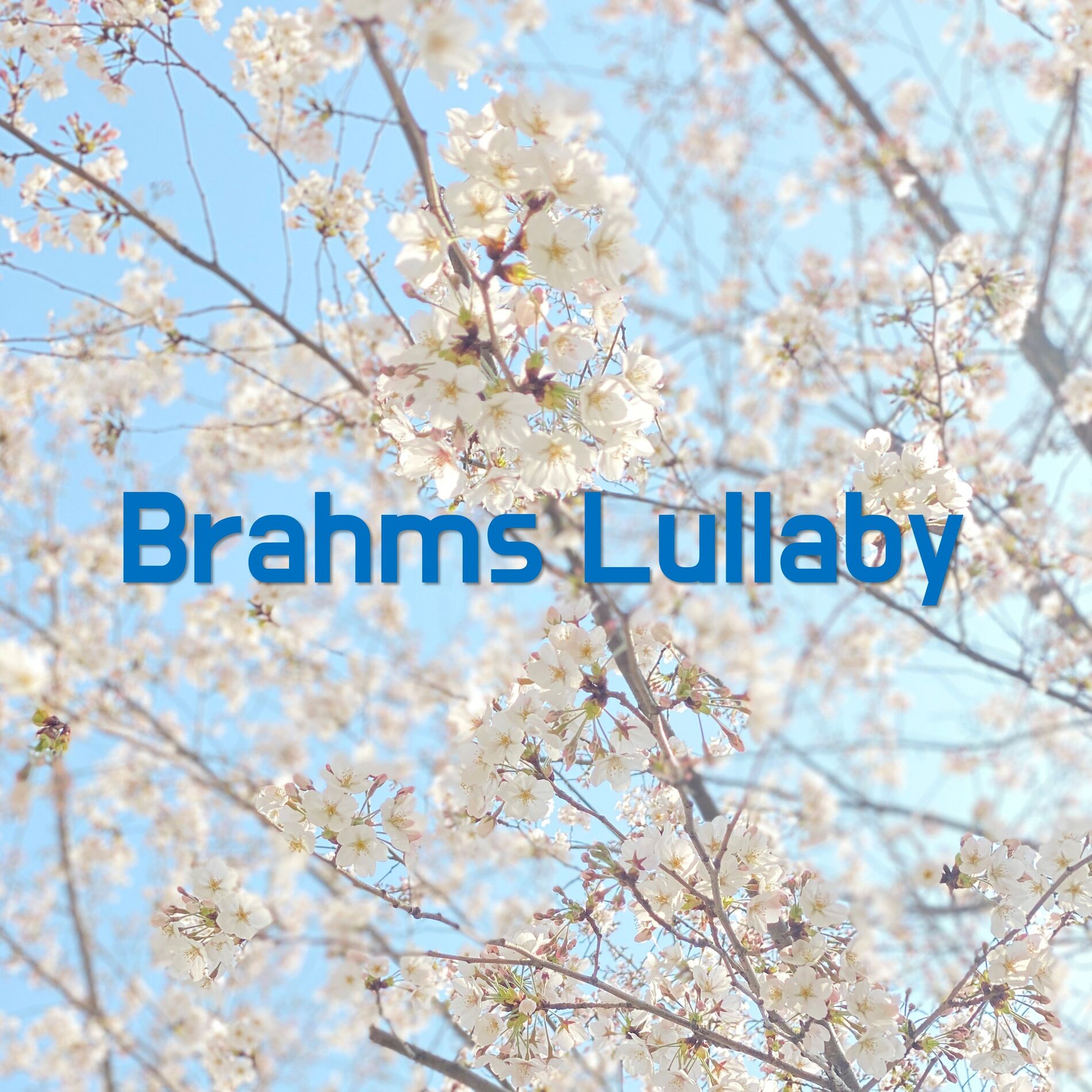 Album cover of Brahms Lullaby