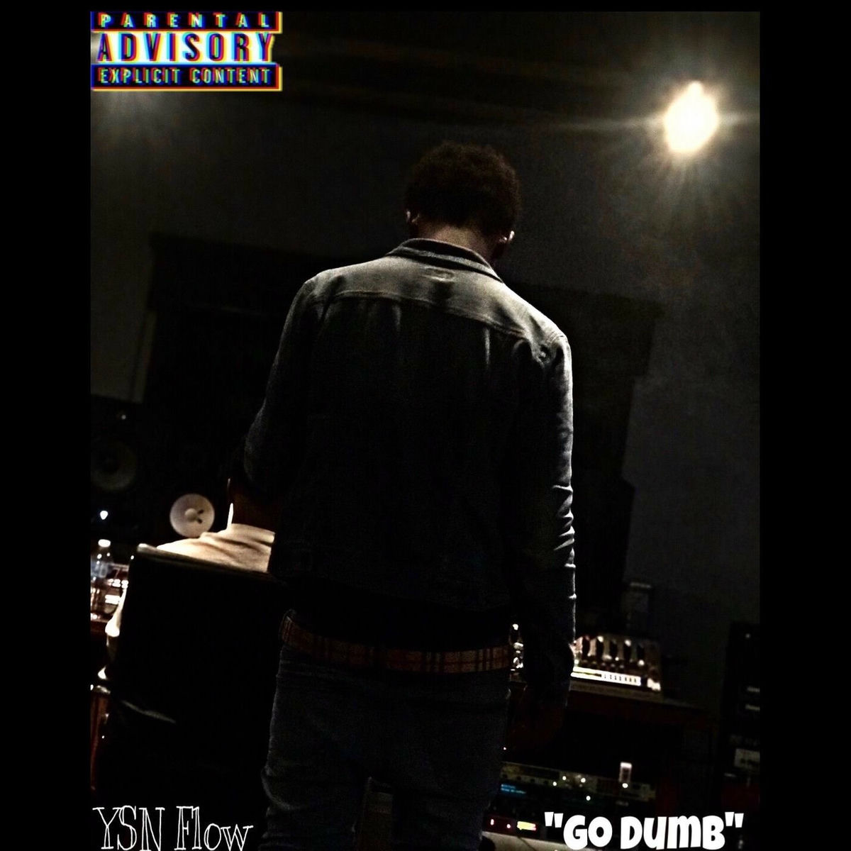 Album cover of Go Dumb