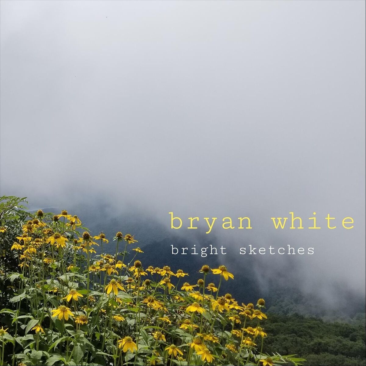Album cover of Bright Sketches