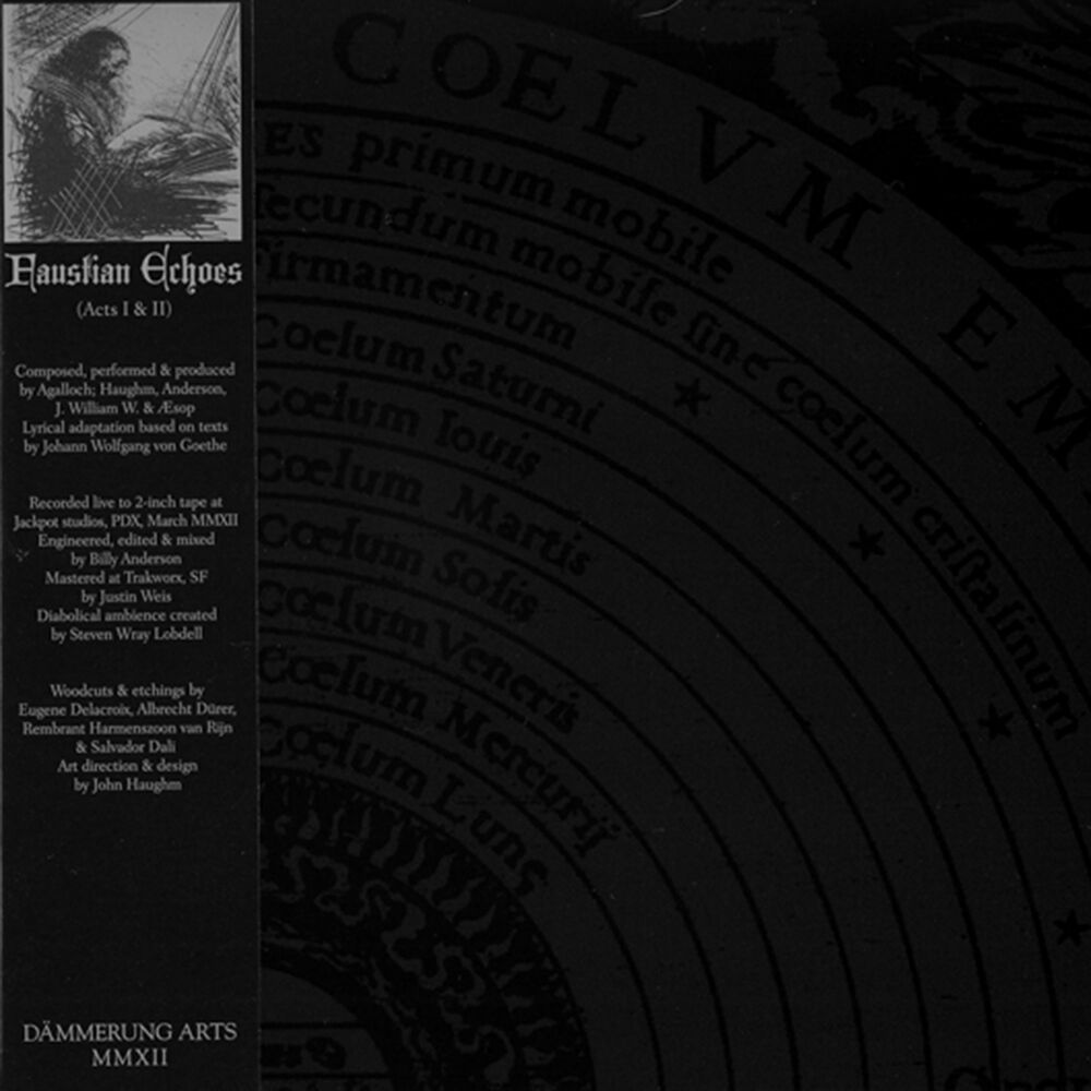 Picture of Faustian Echoes