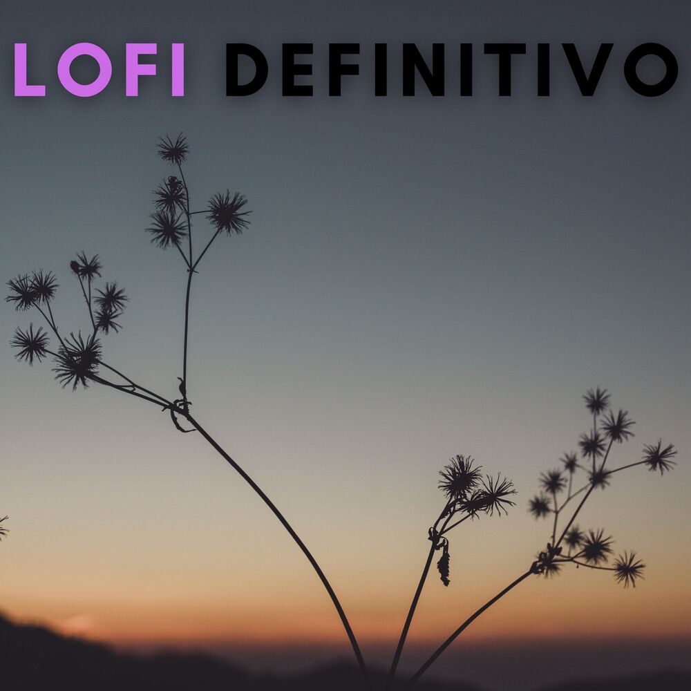Picture of Lofi Definitivo