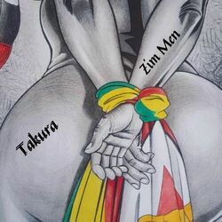 Cover of Zim Men