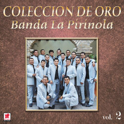 Cover of Colección De Oro, Vol. 2