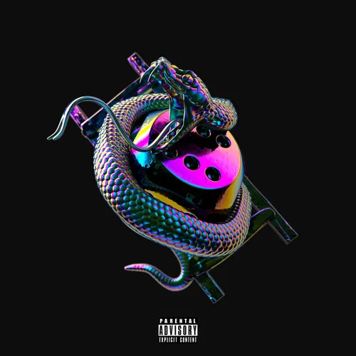 Snakes & Ladders — cover art