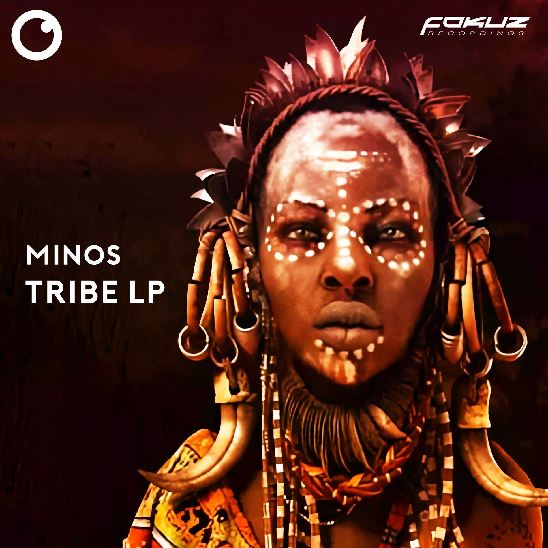 Album cover of Tribe LP
