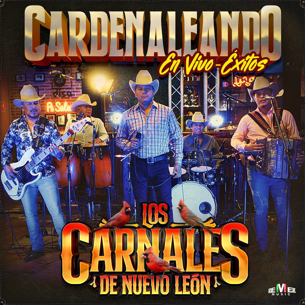 Album cover of Cardenaleando En Vivo Éxitos (En Vivo)