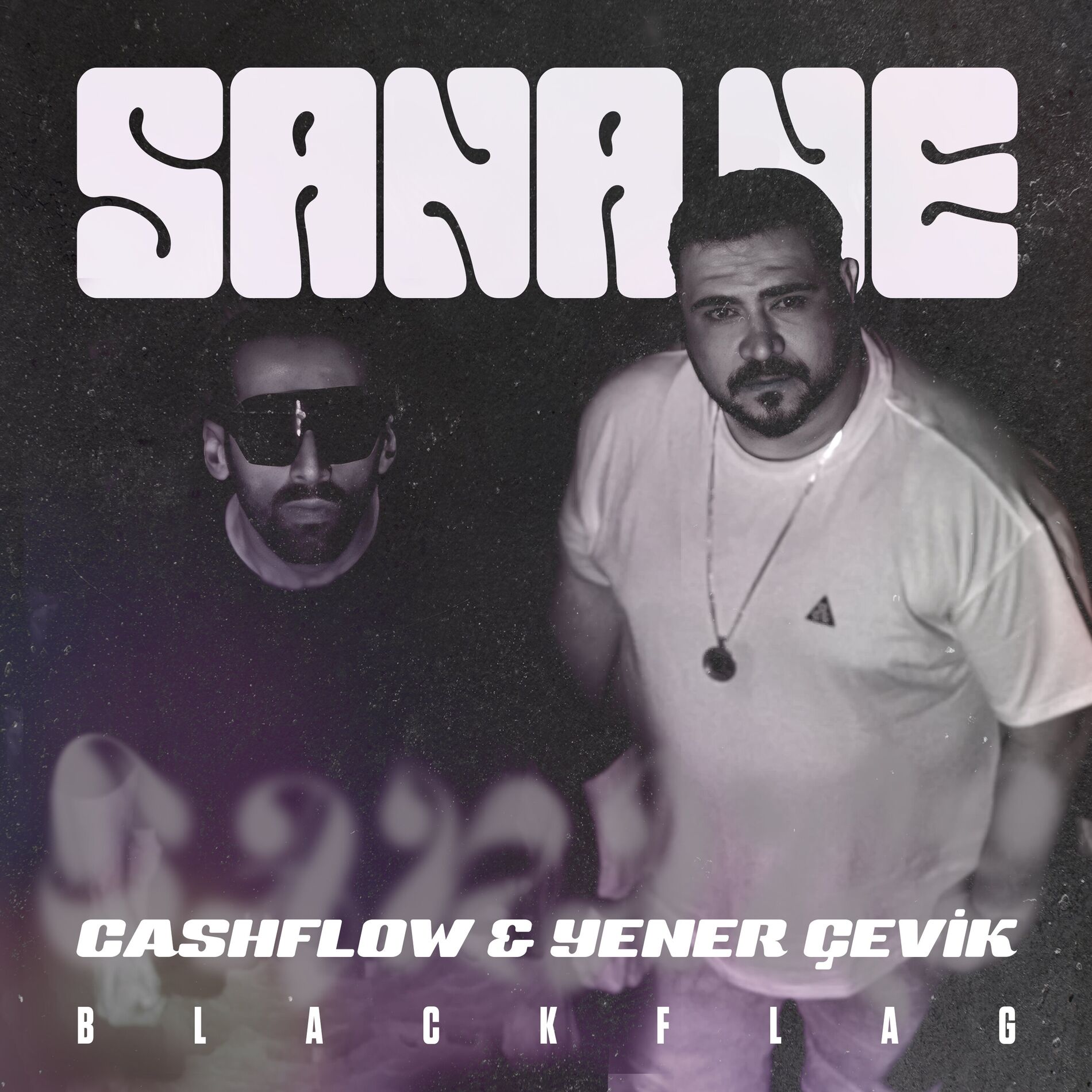 Album cover of SANA NE
