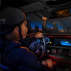 Cover of Car Confessions