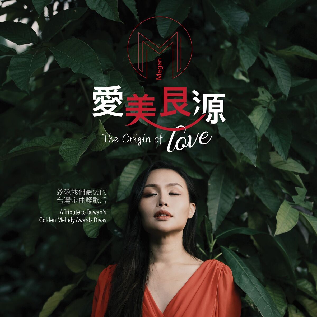 Album cover of 愛美艮源