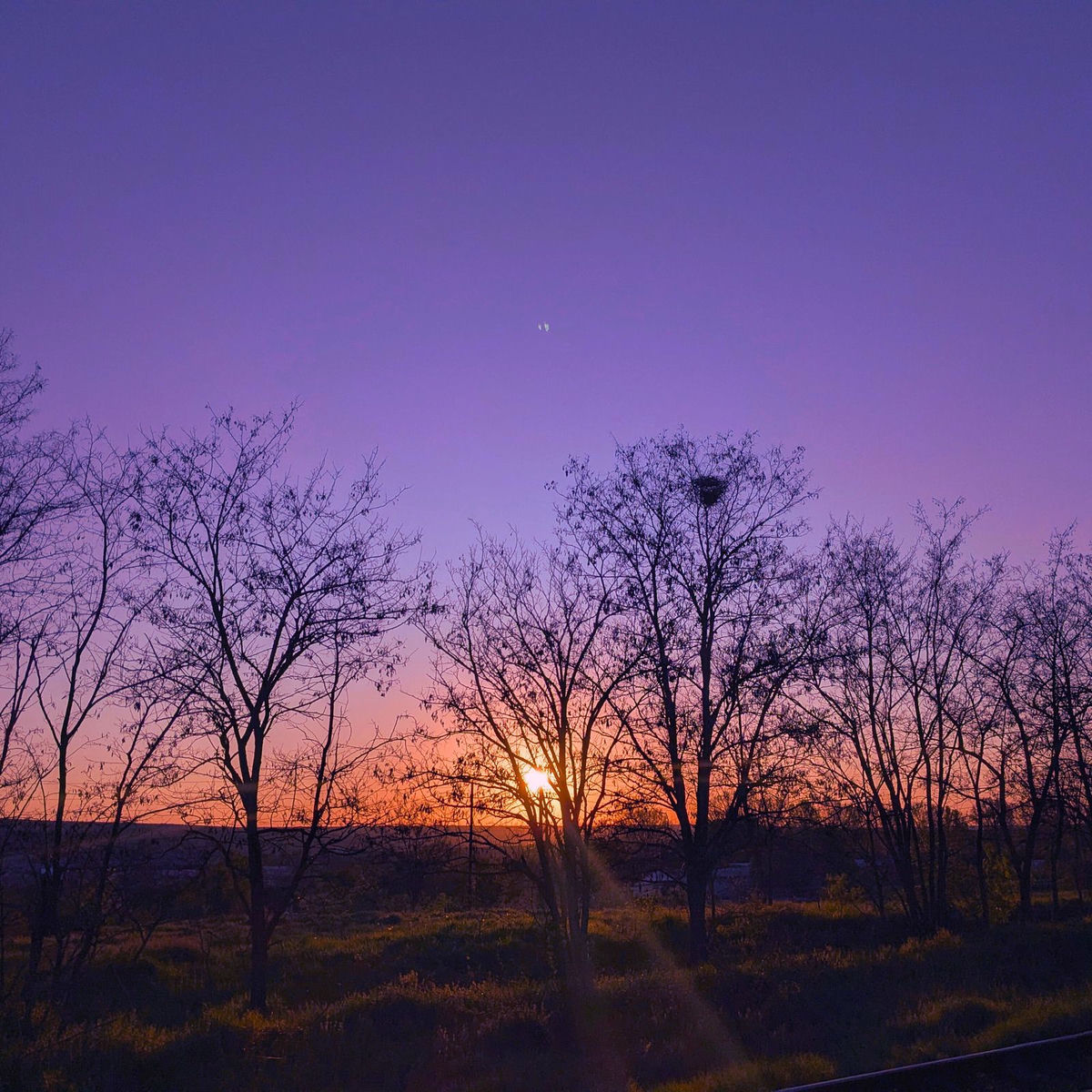 Album cover of Vela