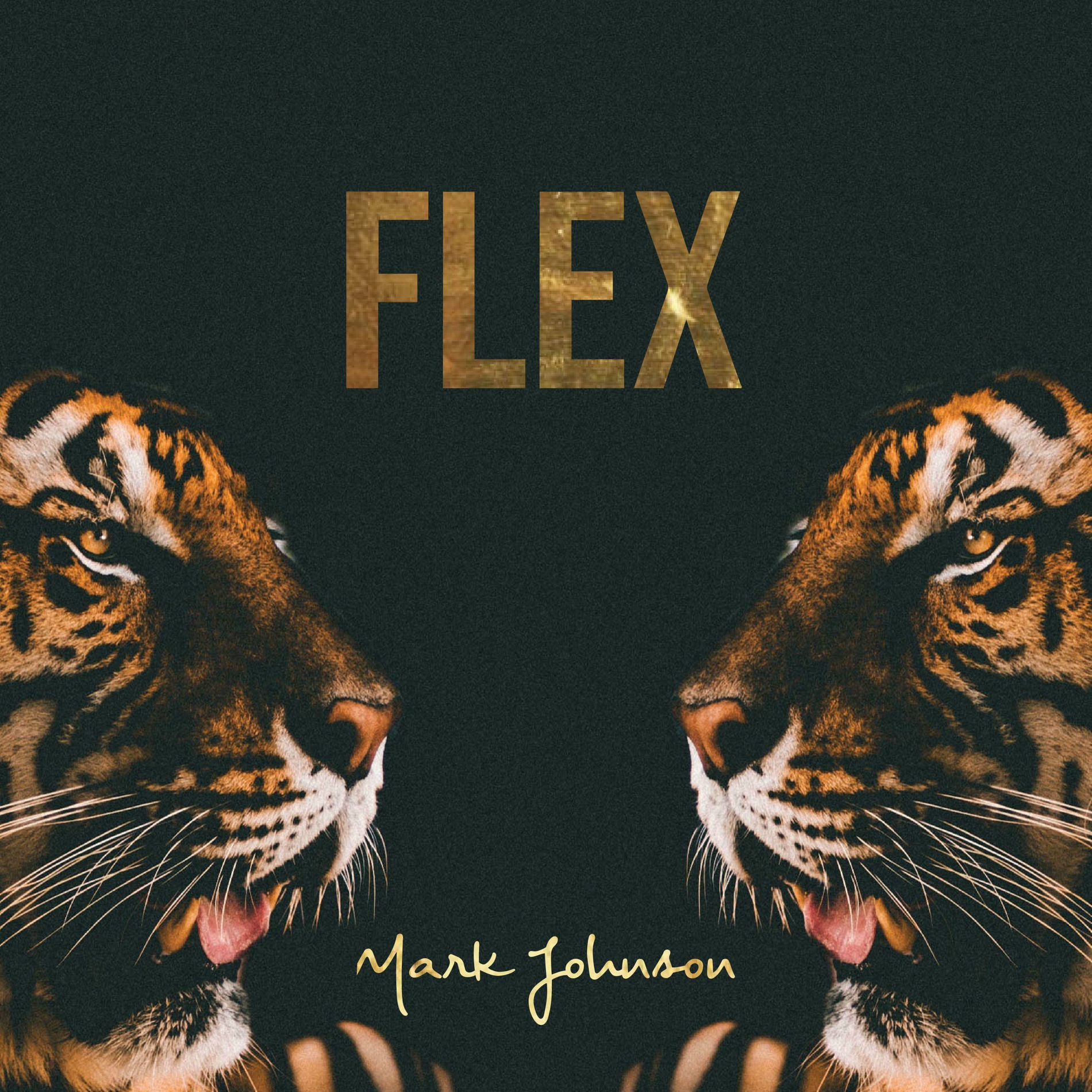 Album cover of Flex